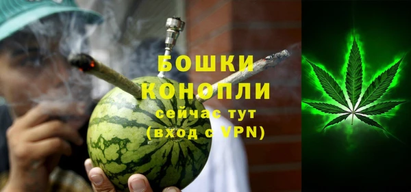 ГАЛЛЮЦИНОГЕННЫЕ ГРИБЫ Щучье
