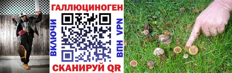 купить закладку  Кораблино  hydra ONION  Псилоцибиновые грибы Magic Shrooms 